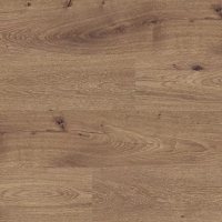 ee571391ef9df8ef78b6d4a78caa1f2c