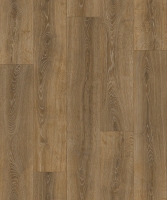 Cherbourg_Oak_W47__0