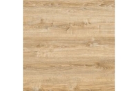 12291.0x190-1200x800