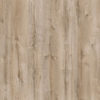 Дуб монталь