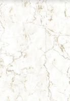 panel-pvh-sp-plast-venecianskaja-shtukaturka-21t031-2700_250_7-1-600x868