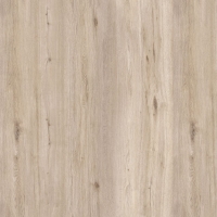 b7d4532f_4909_11ef_bad0_005056a454e9_abfaba36_4976_11ef_bad0_005056a454e9