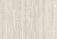 50417Дуб Редмонд