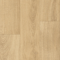 tmp95e3de5a7df334c22435aa476e46e3da