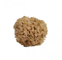 Снимок экрана 2025-09-25 150533