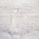 12e454459b977a6e2bcf667d21906206