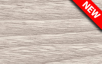 new-276-Сосна-белёная