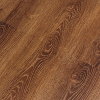 607dd33d7e346463d3799d5b6e89a477