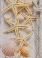 Морской коктейль